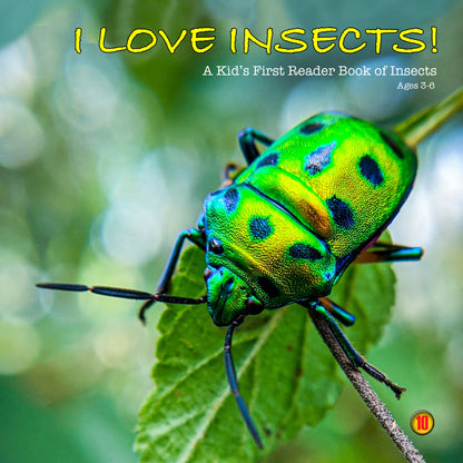 I Love 'Insects' - A Kids First Reader Insect Book - 1st Edition